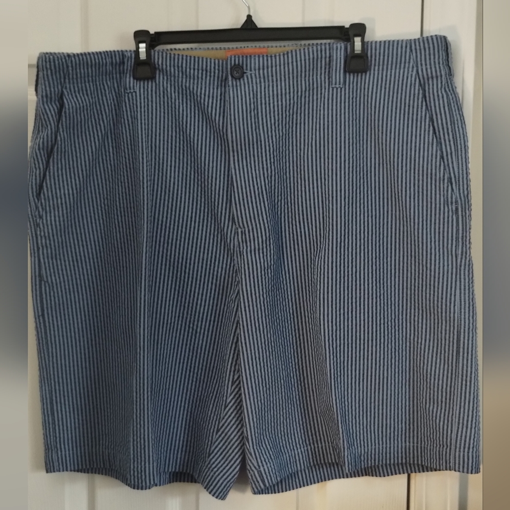 Big Men's Izod Blue Striped Shorts